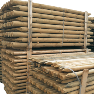 Tekinti kuolai RW Ø 60x3000